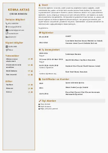 Çocuk Bakıcısı CV Örnekleri cv indir